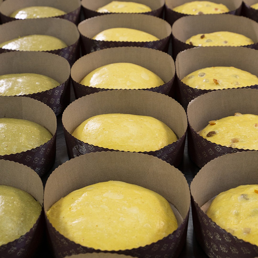 Panettone artigianale Tradizionale Oro Cilentano