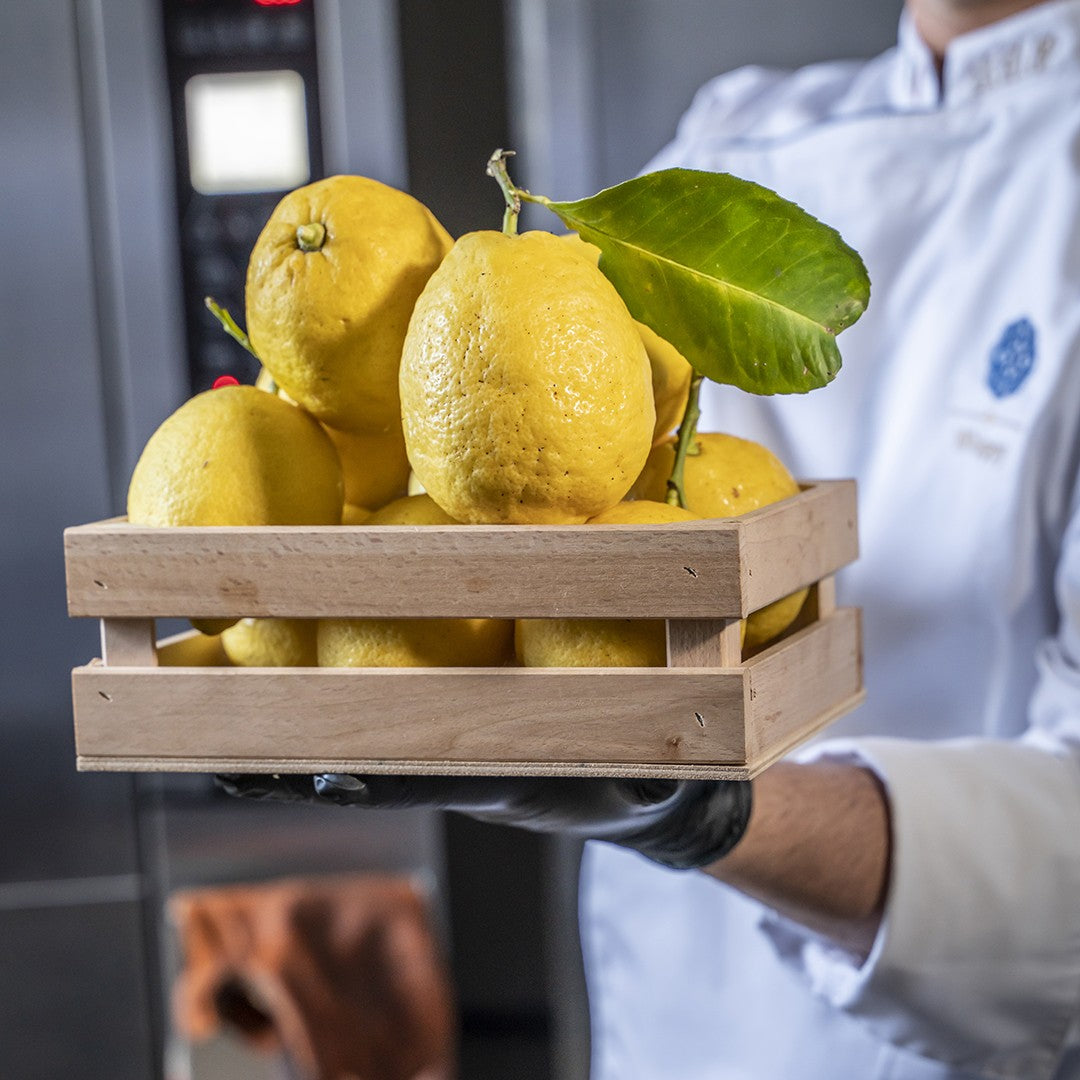Colomba artigianale  Amalfitana, farcita con crema al limoncello