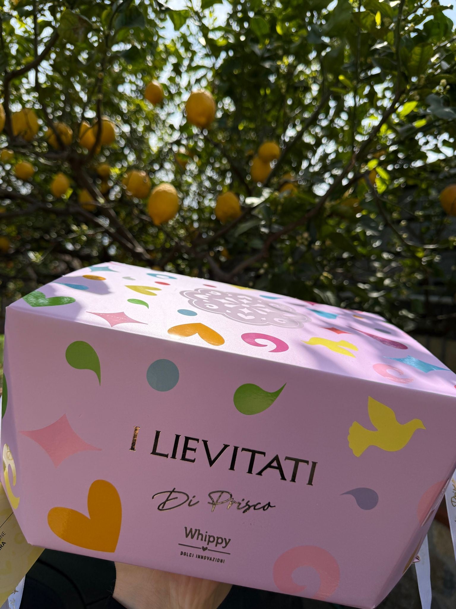 Colomba artigianale Nocciolatte, con vasetto di crema spalmabile artigianale Nocciola IGP del Piemonte