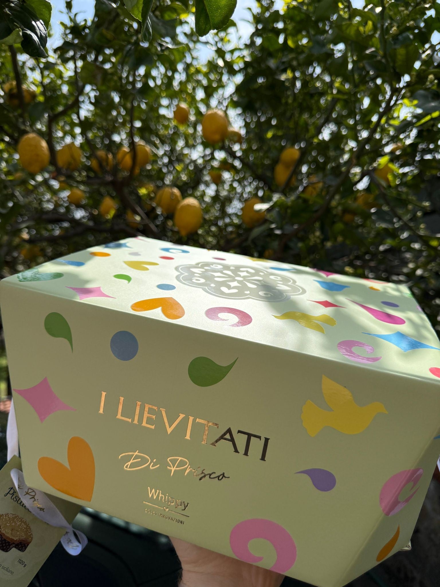 Colomba artigianale Nocciobianca, con vasetto di crema spalmabile artigianale nocciola e cioccolato bianco