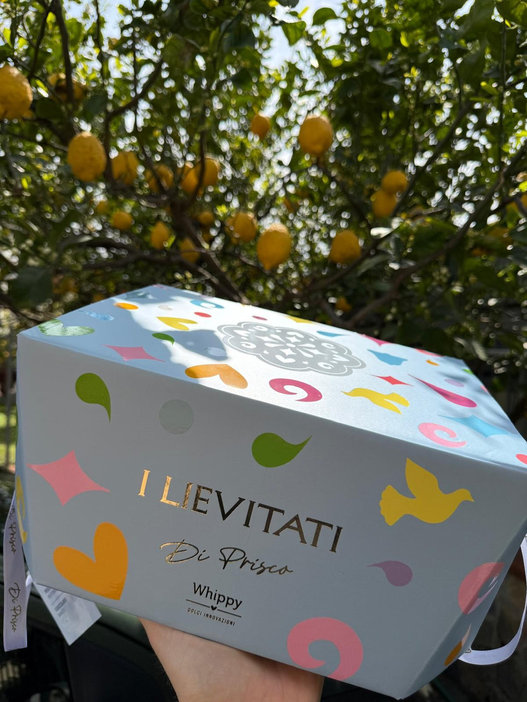 Colomba artigianale senza lattosio Cuore d'Albicocca,con glassa alle mandorle