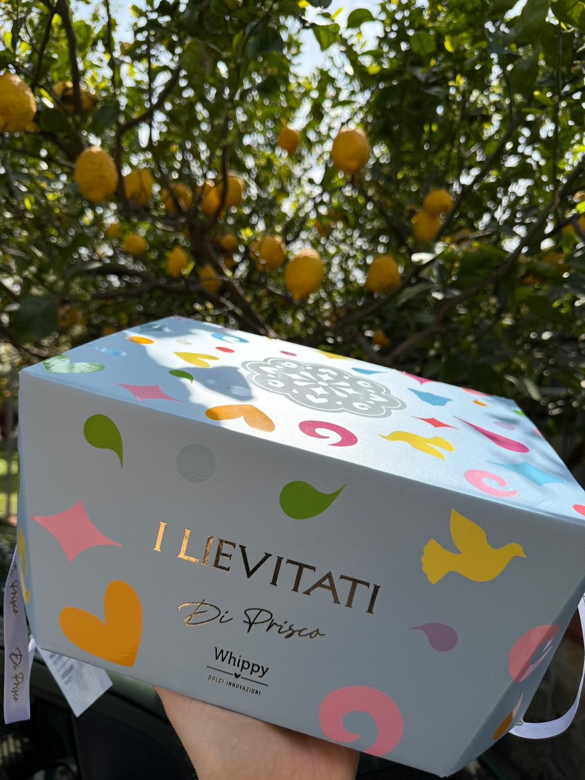 Colomba artigianale senza lattosio Cuore d'Albicocca,con glassa alle mandorle