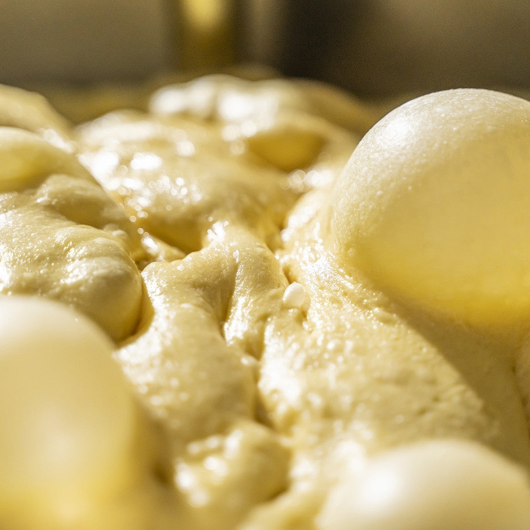 Colomba artigianale Amarena stregata, farcita con amarene candite e crema pasticcera