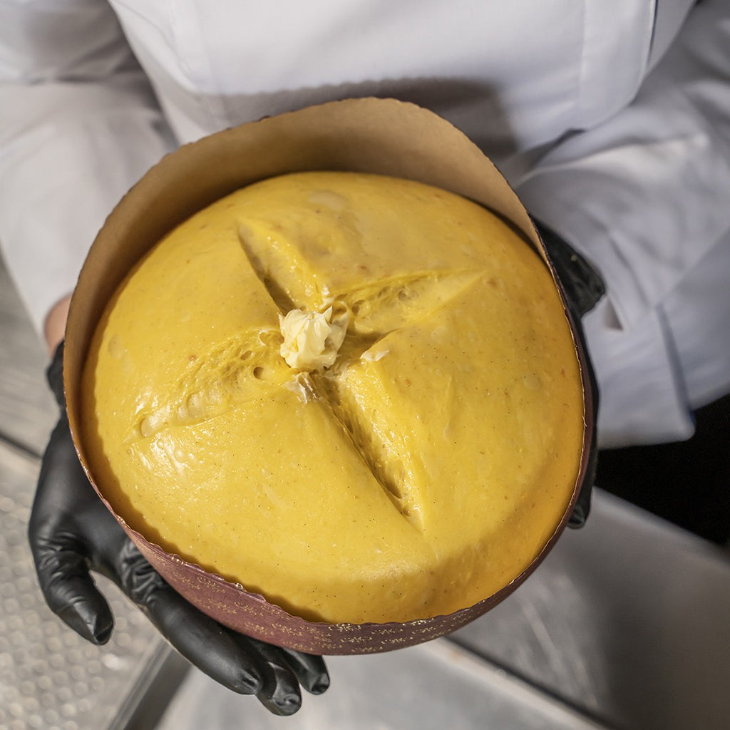 Colomba artigianale Gianduiotta, farcita con crema alla gianduia.